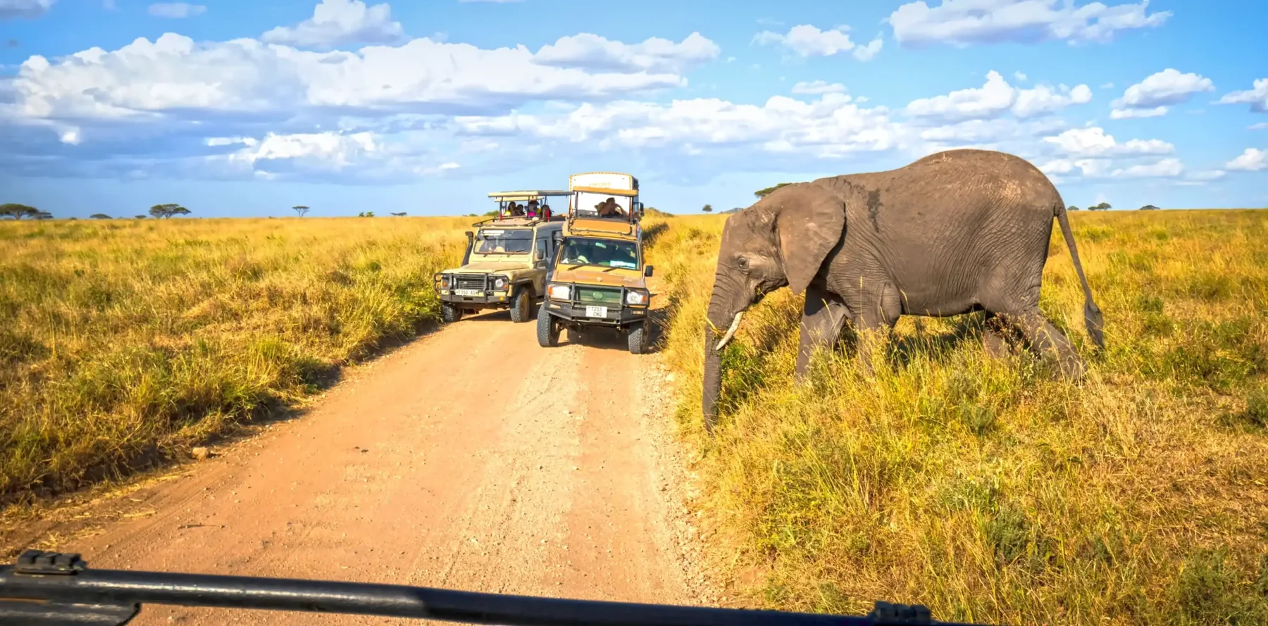 14-Day Northern Tanzania Safari: Big Five, Serengeti Plains & Cultural Encounters