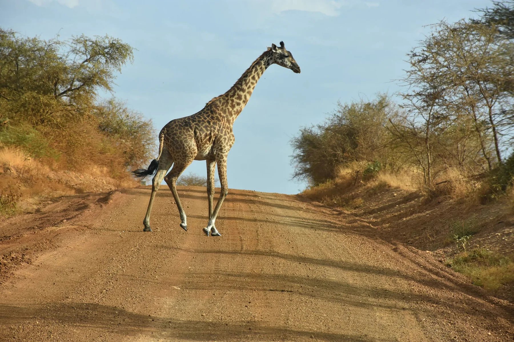 Tanzania Travel Information