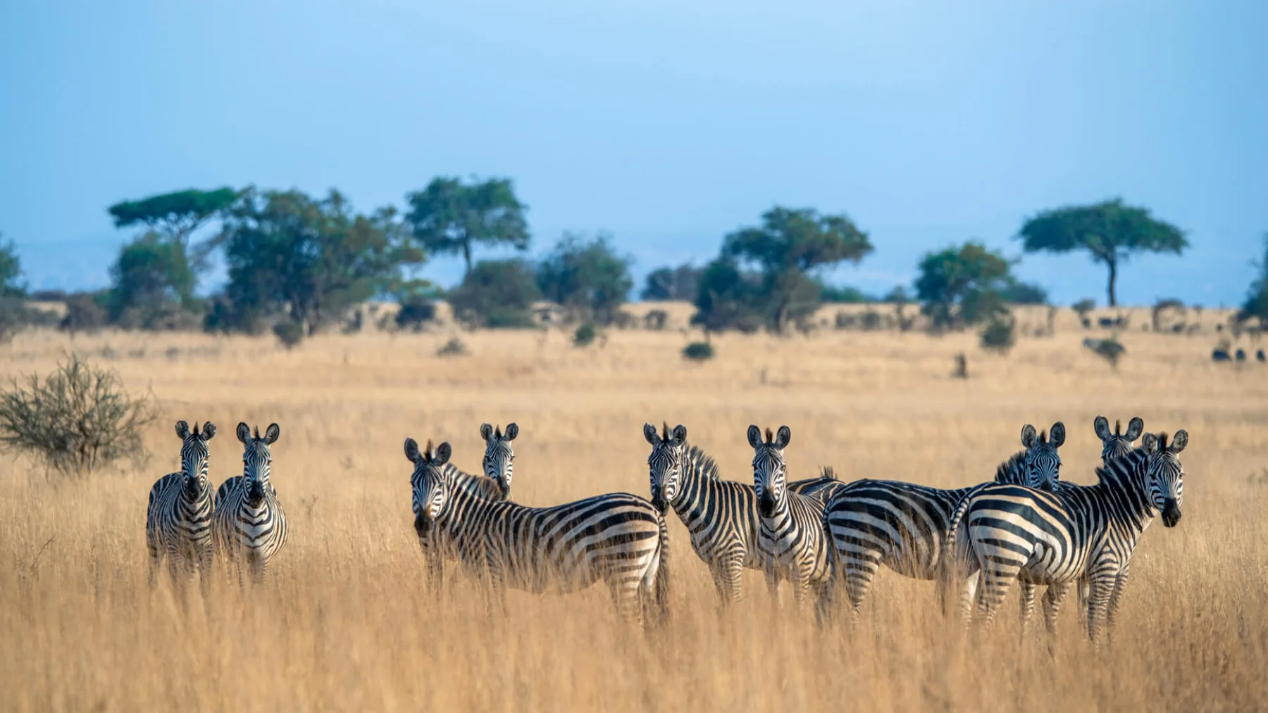 Tanzania Destinations