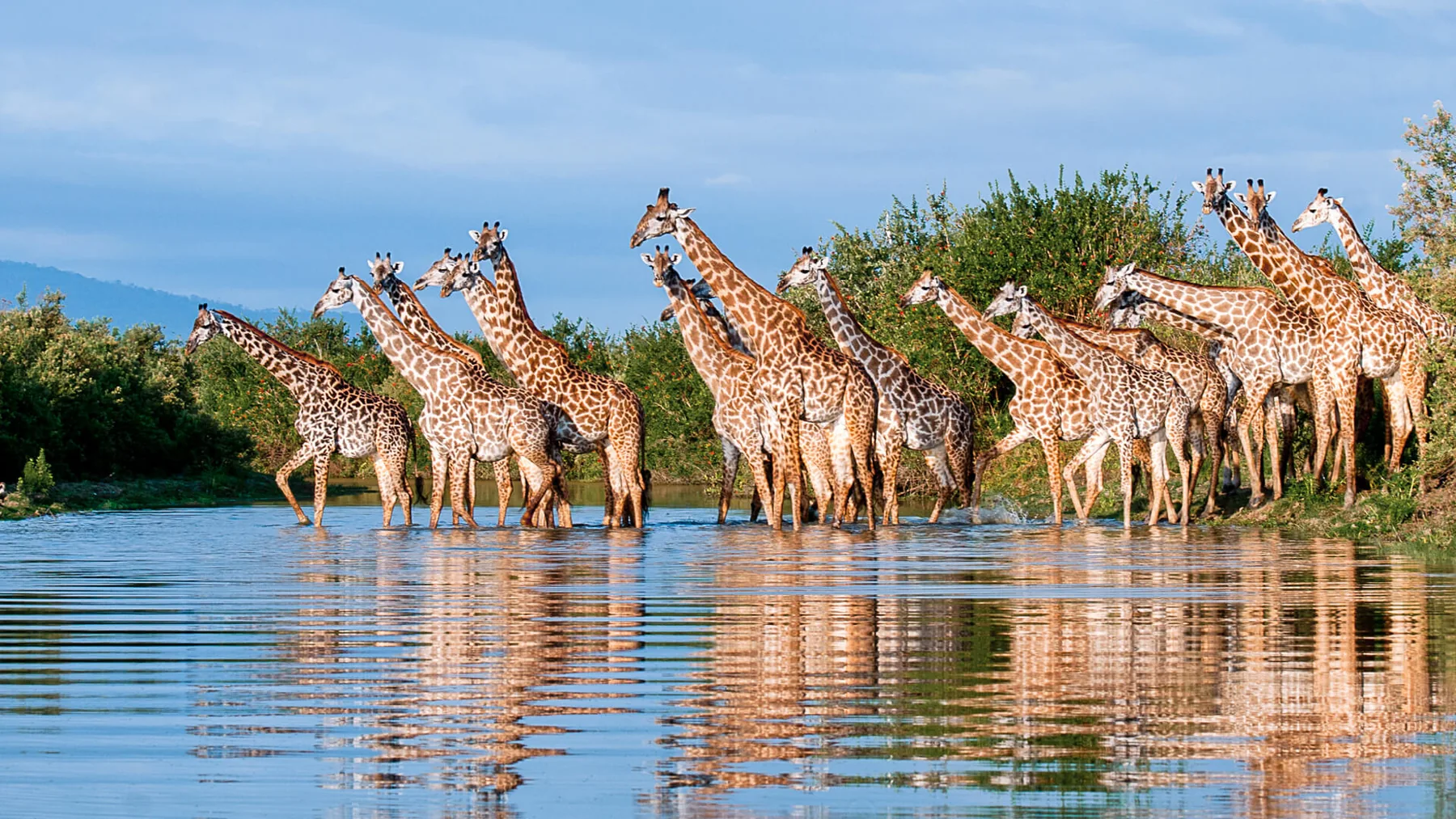 Northern vs Southern Tanzania Safari