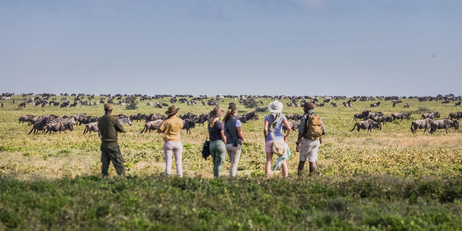 5-Day Great Migration Safari Fly-in & Out From Arusha