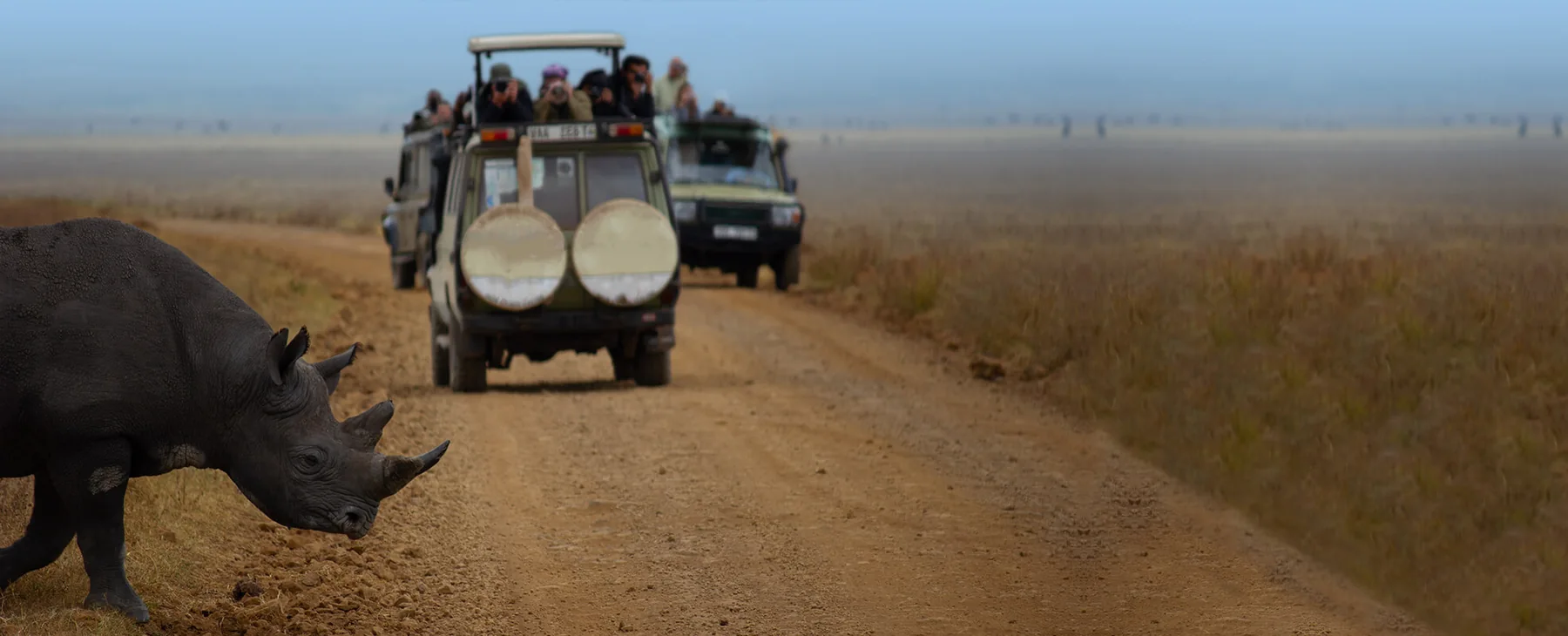 Best Tanzania Safari for Families