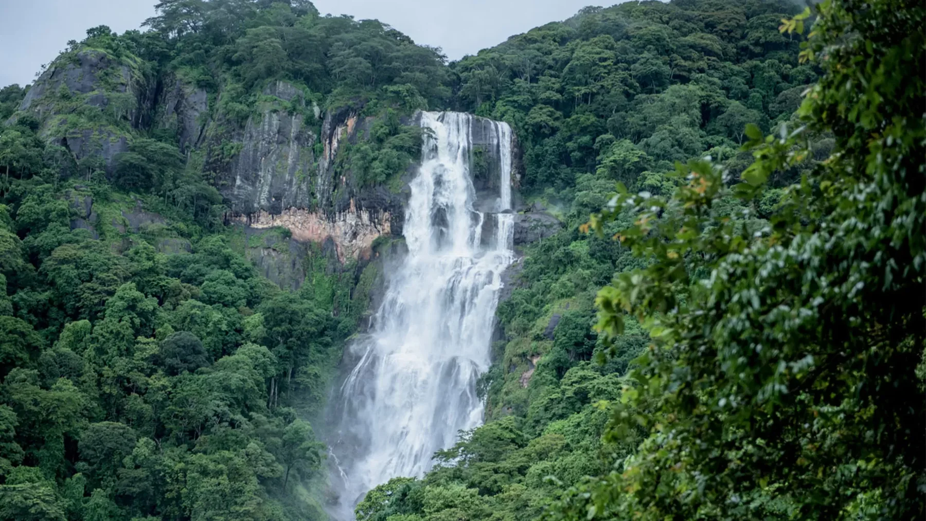 6 Days Mikumi and Udzungwa Safari Experience from Dar es Salaam