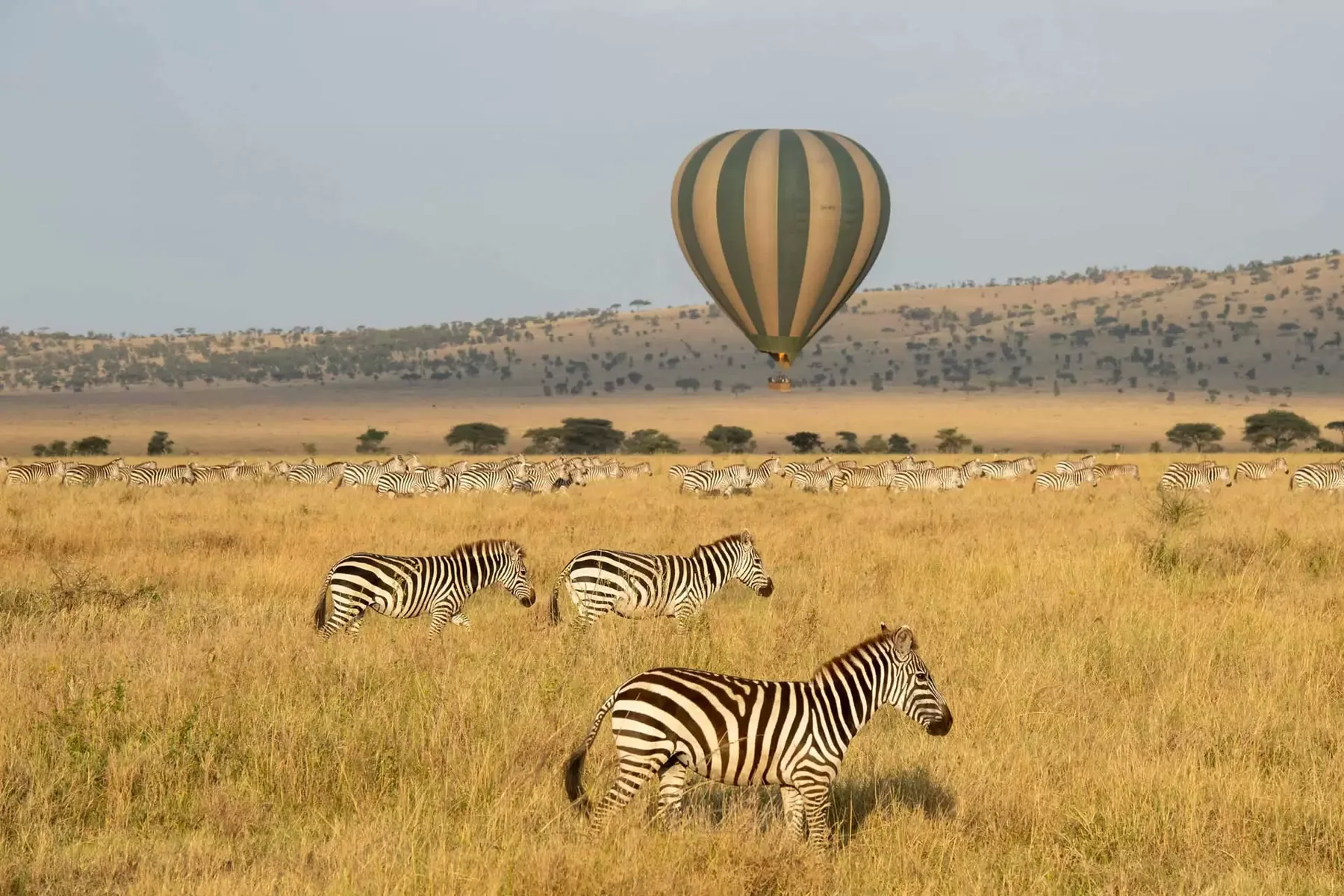 7-Day Tanzania Mid-range Family Safari & Balloon Experience