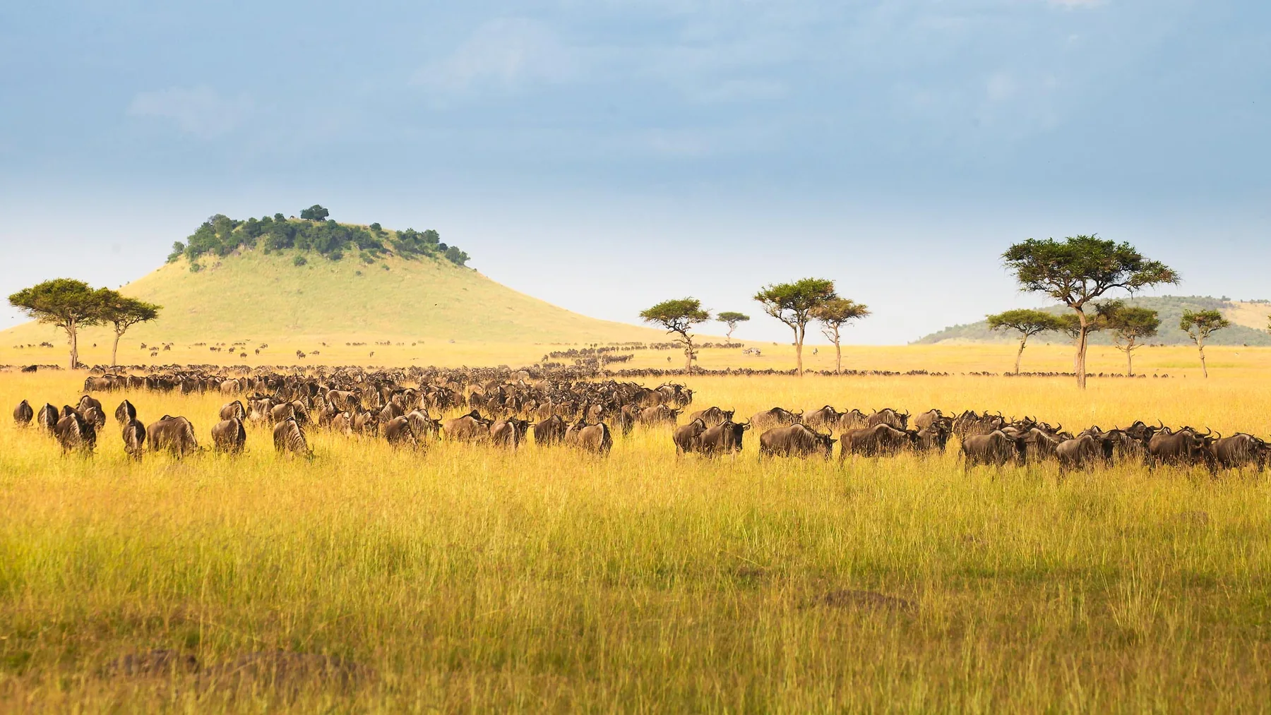 Serengeti National Park