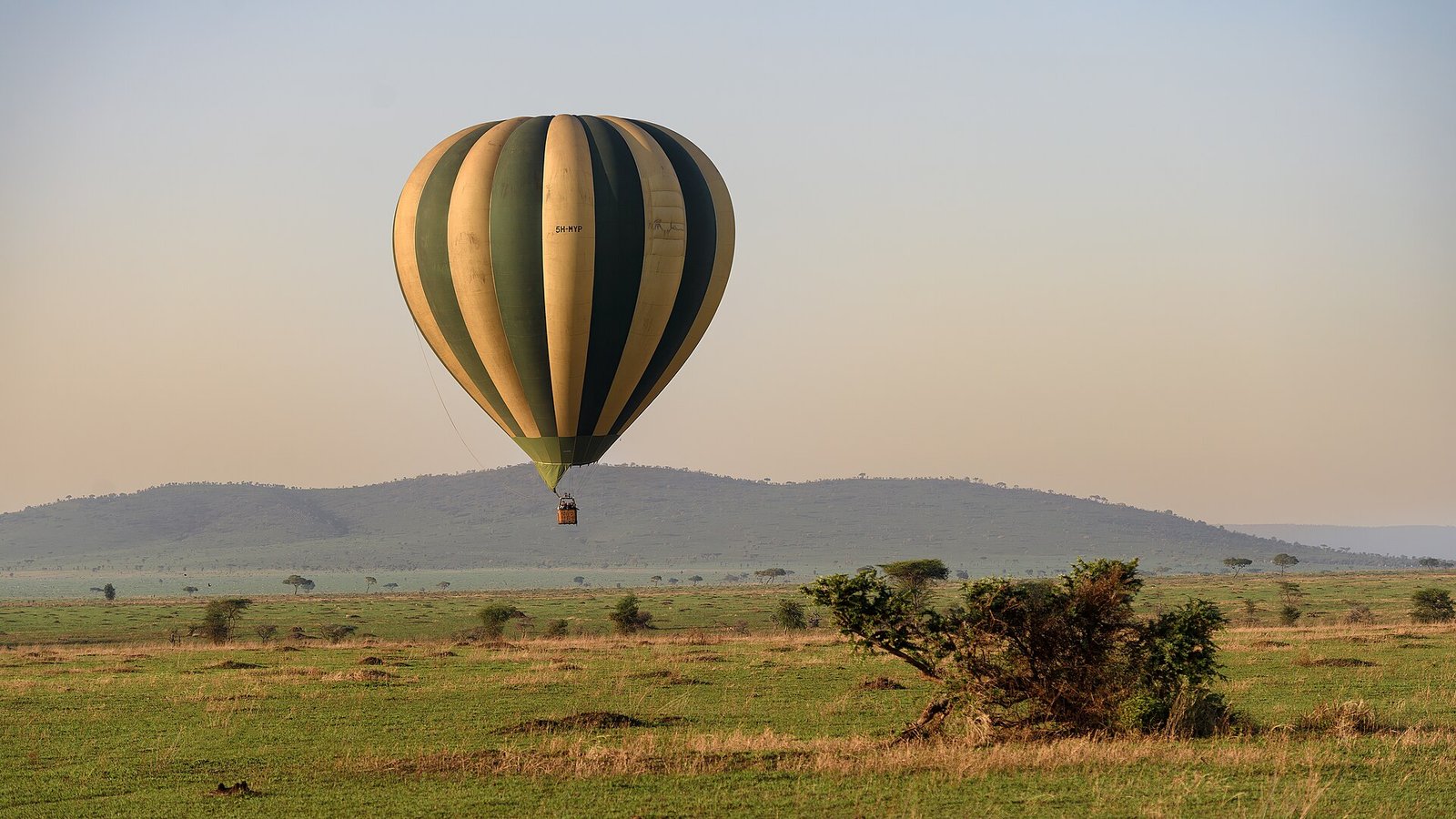 7-Day Serengeti Wildebeest Migration Honeymoon Luxury Fly-In Safari All-Inclusive