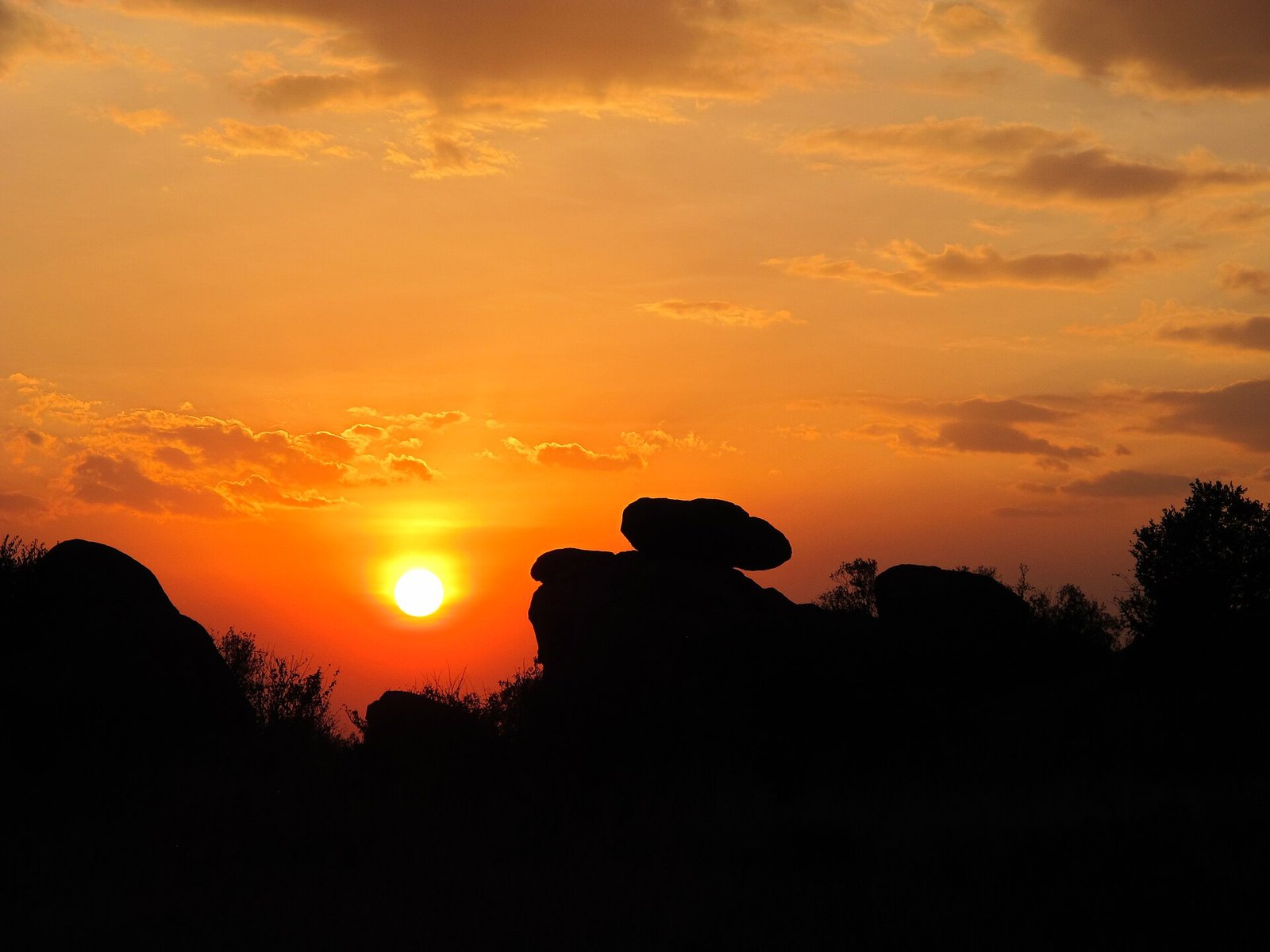 7-Day Premium Serengeti Honeymoon Safari to Four Seasons Lodge Fly-in