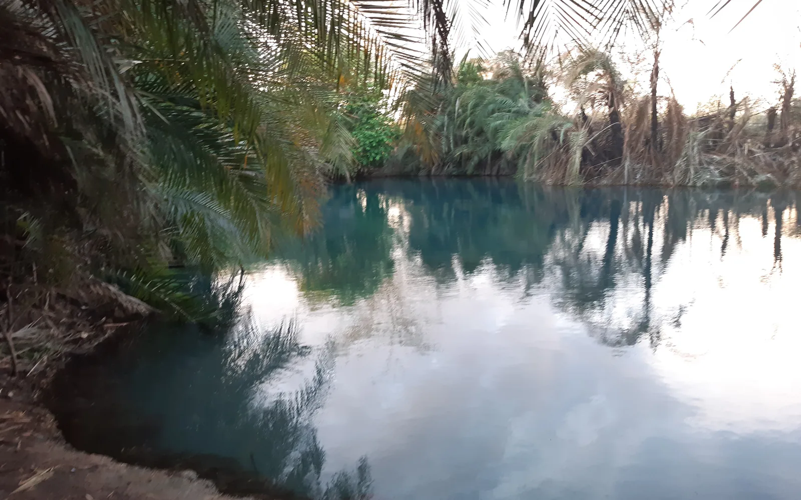 Visitors swimming in the natural pool at Kikuletwa Hot Springs