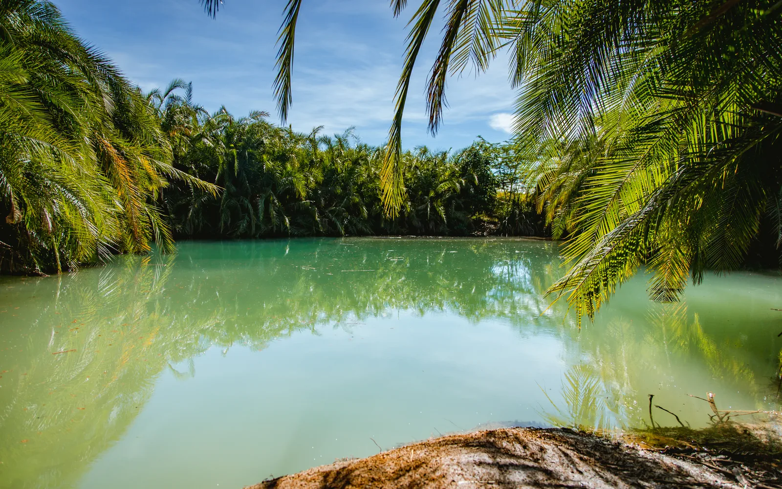 Tree-lined banks surrounding Kikuletwa Chemka Hot Springs