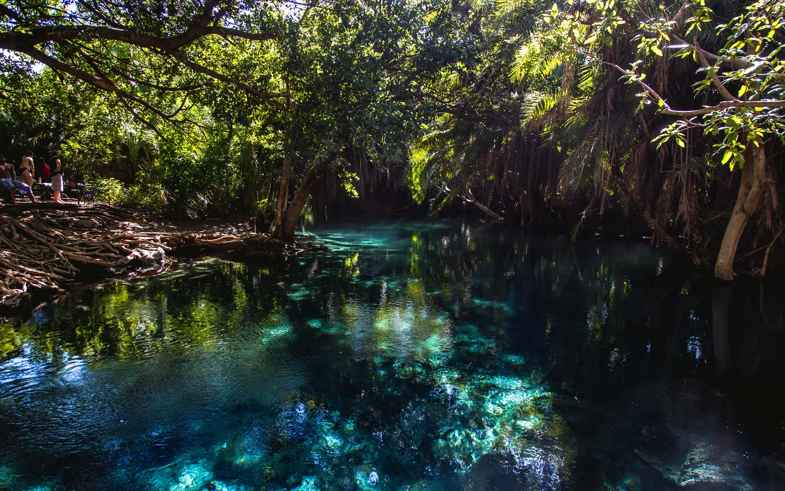 Blue water and tropical vegetation at Kikuletwa Hot Springs