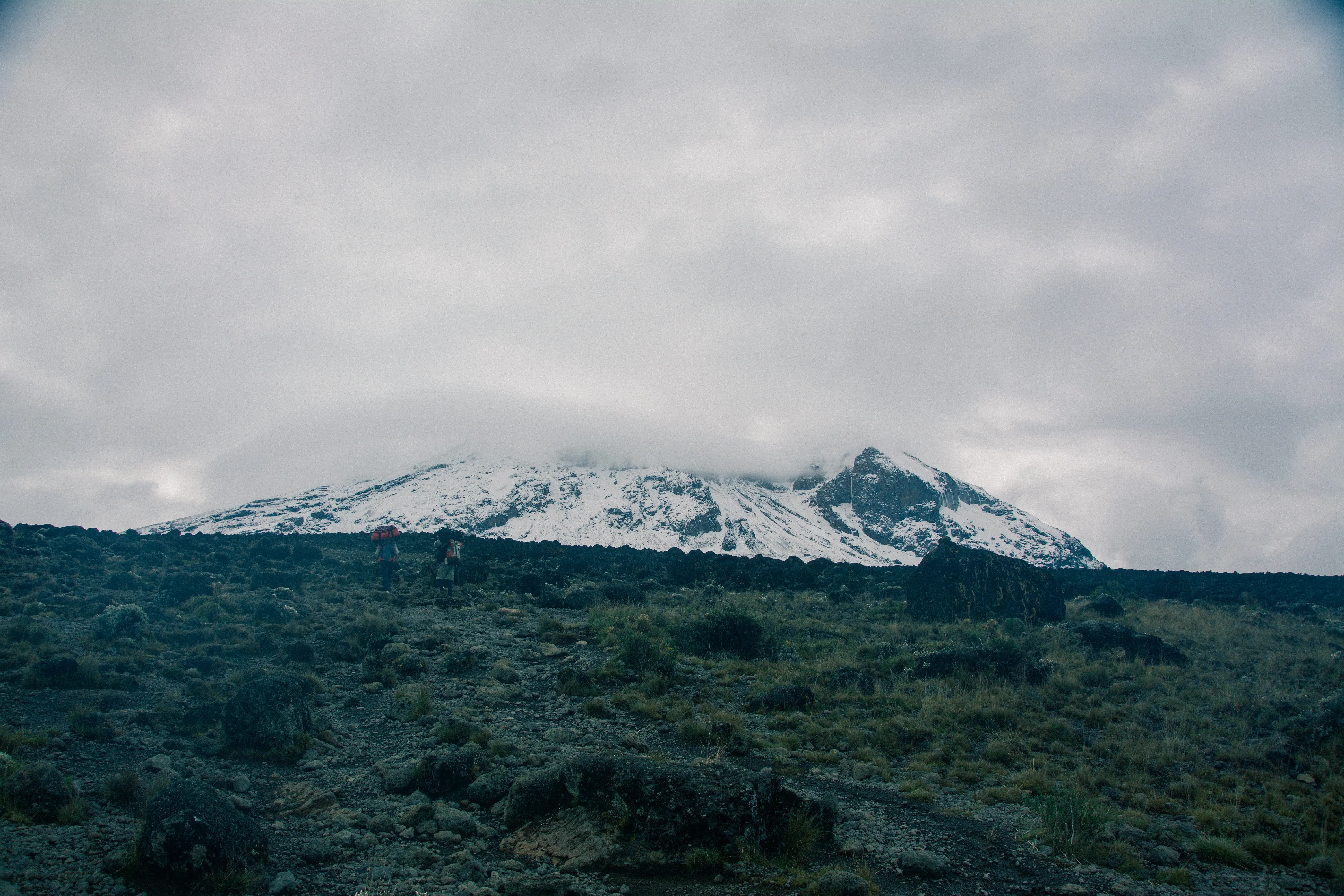 Kilimanjaro mountain scenery