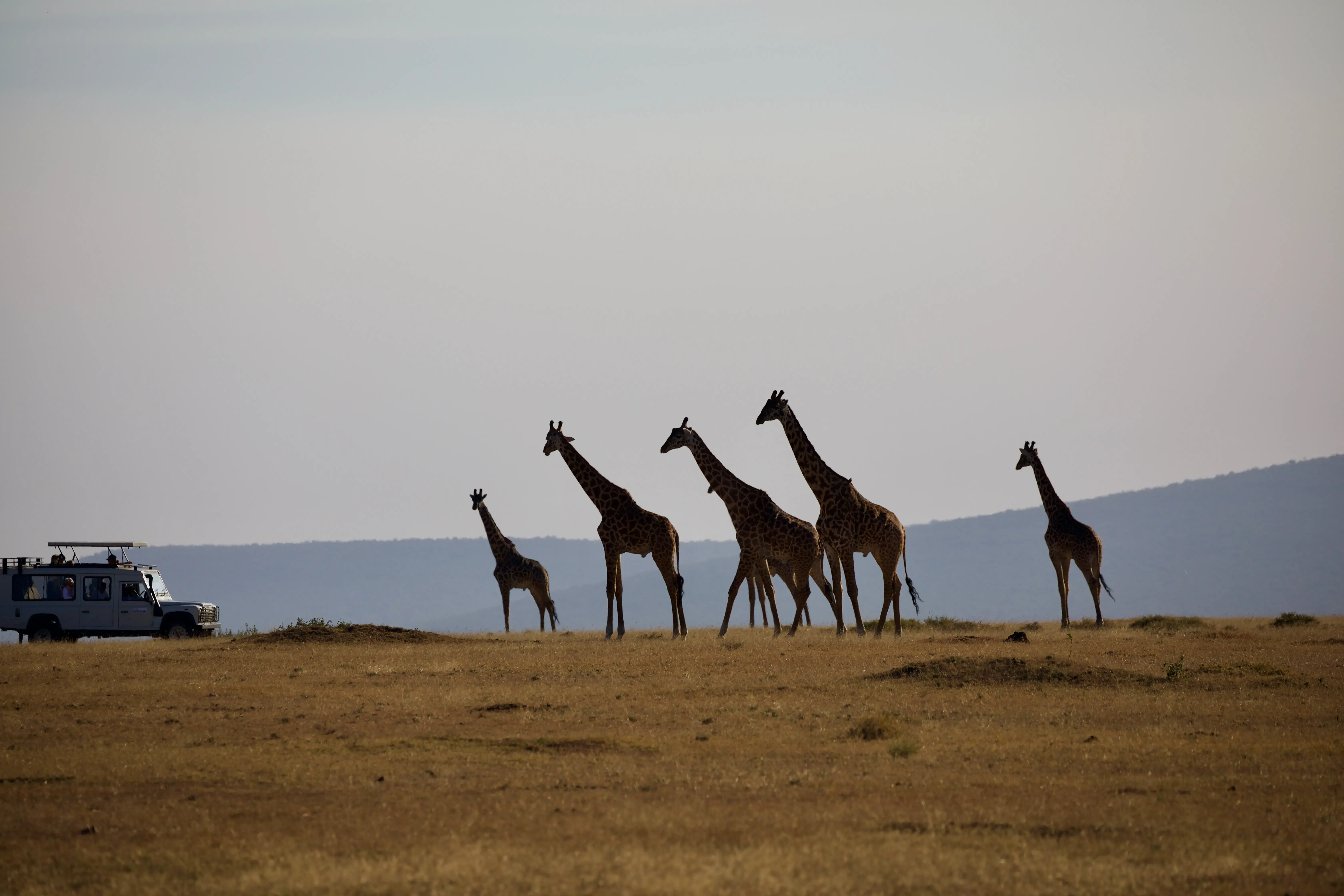 Fly-in Safaris
