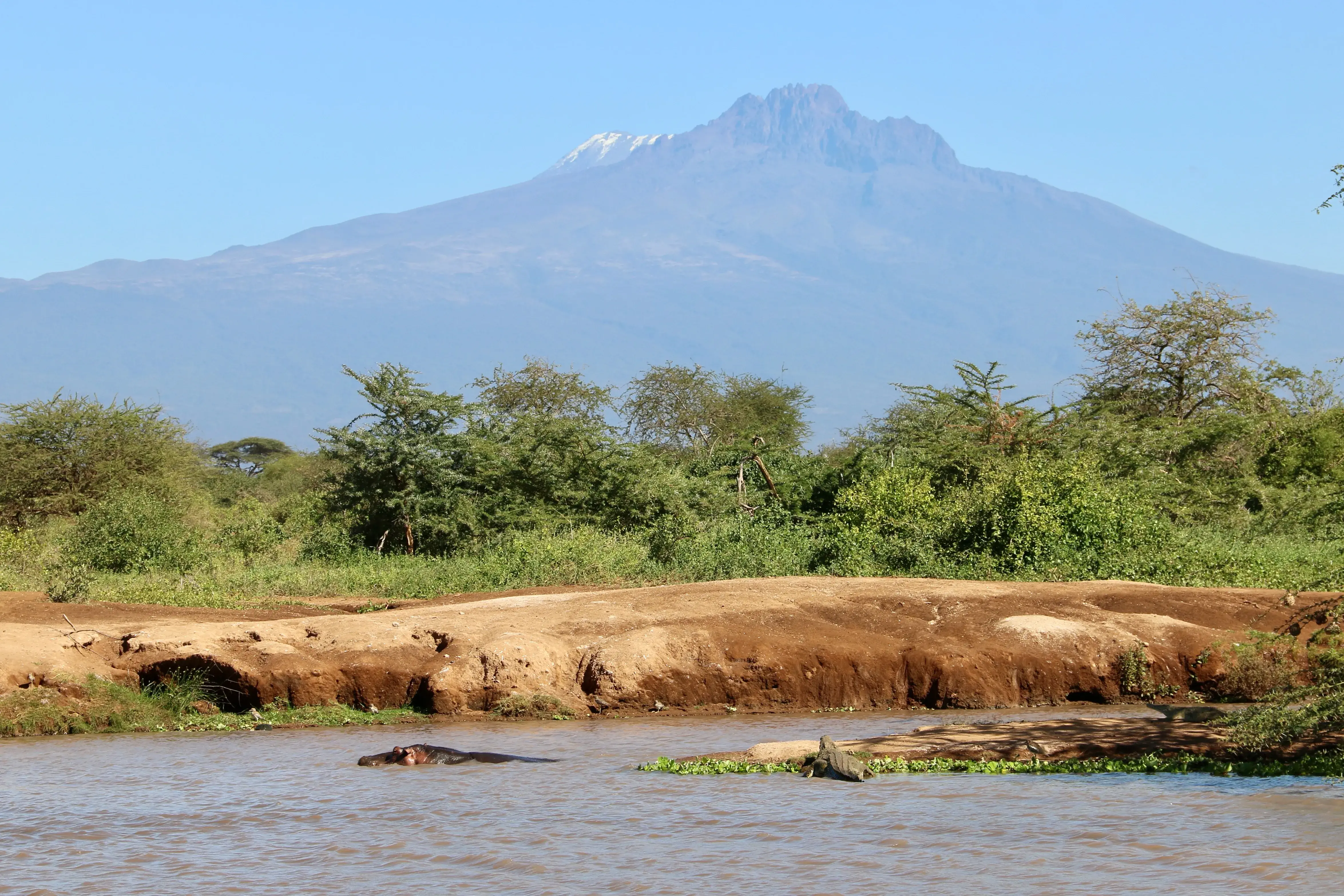 Zebra and wildlife habitat inside Ngorongoro Crater