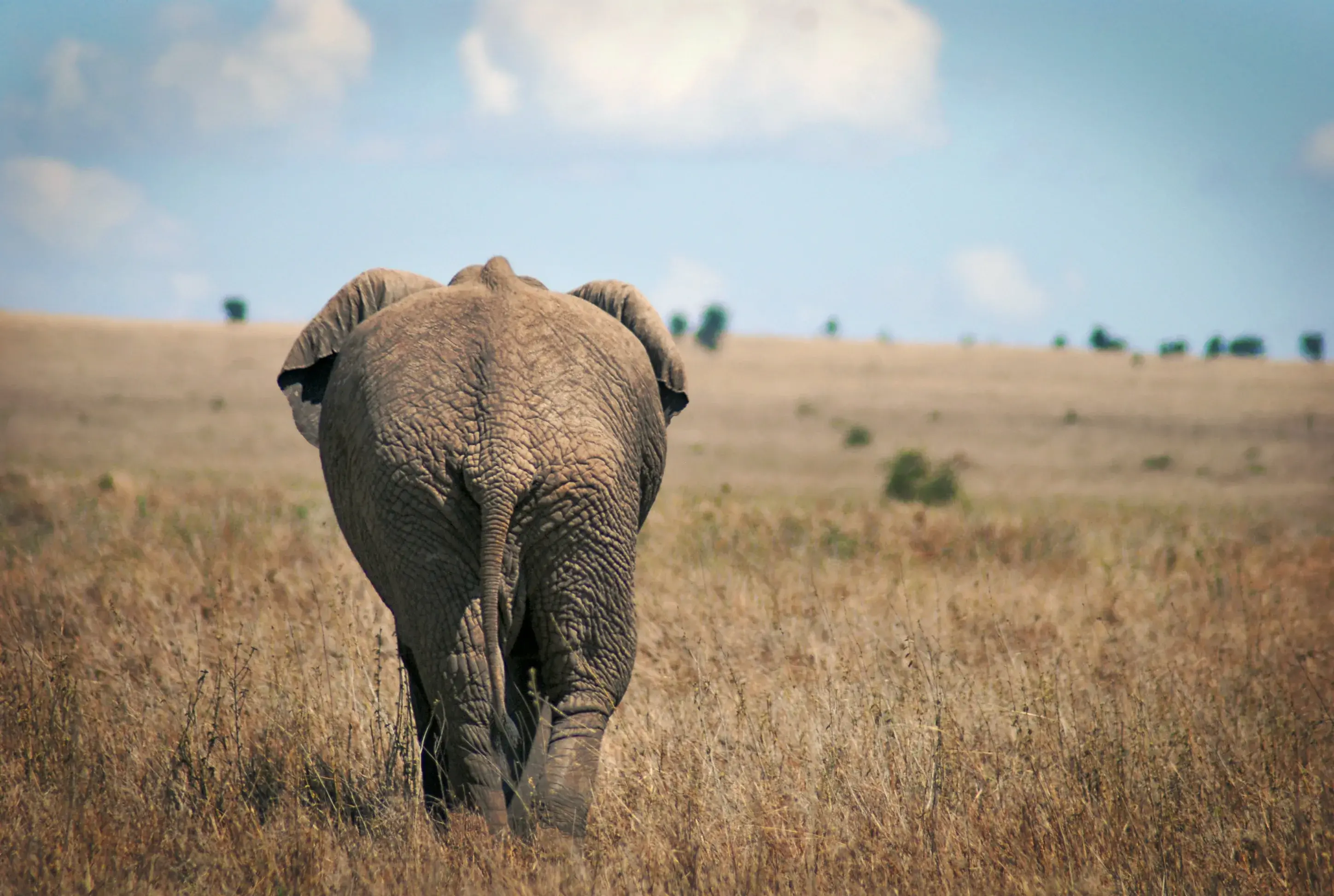 Nyerere National Park in southern Tanzania