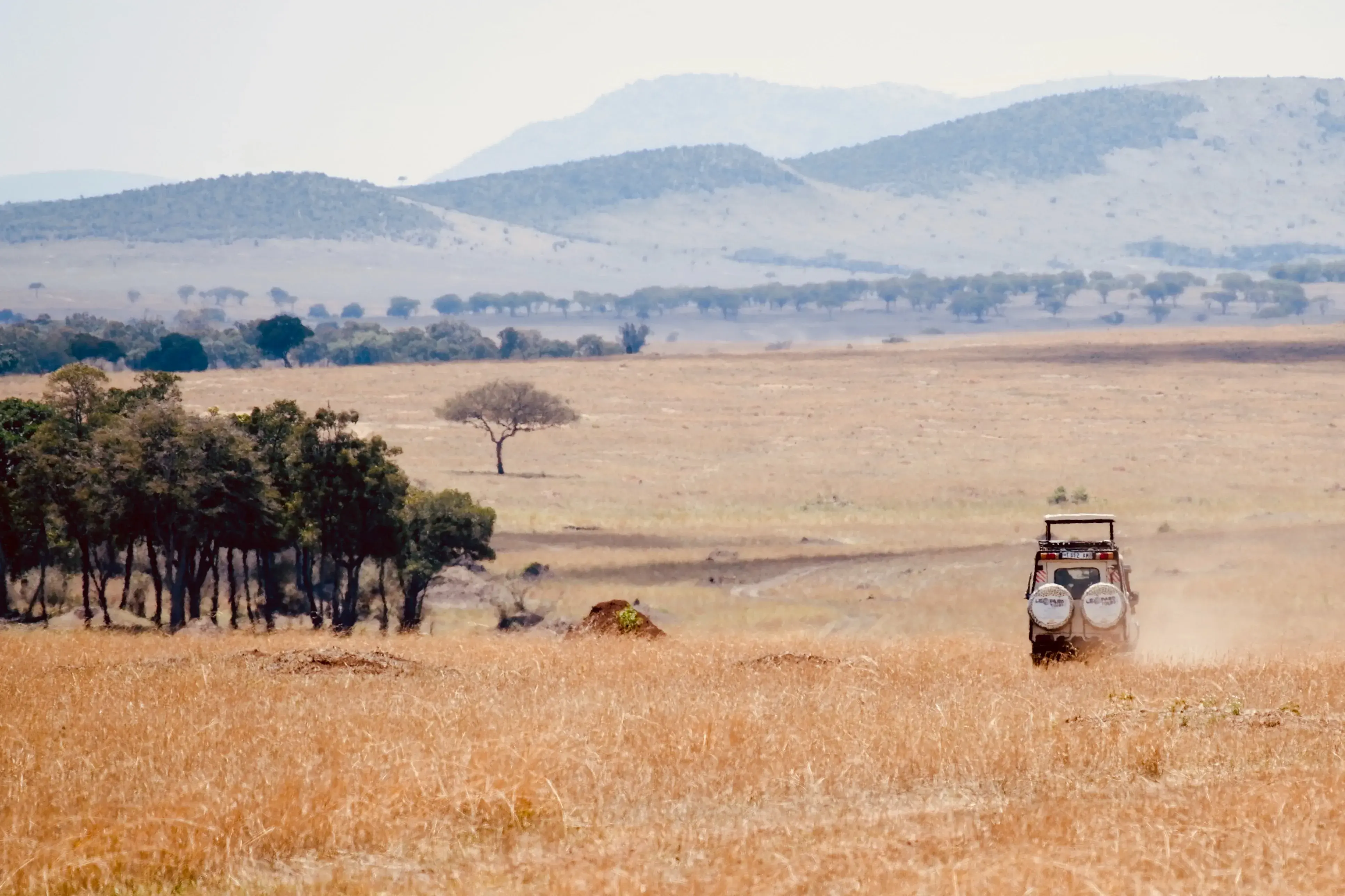 Elephants crossing the Tanzania savannah