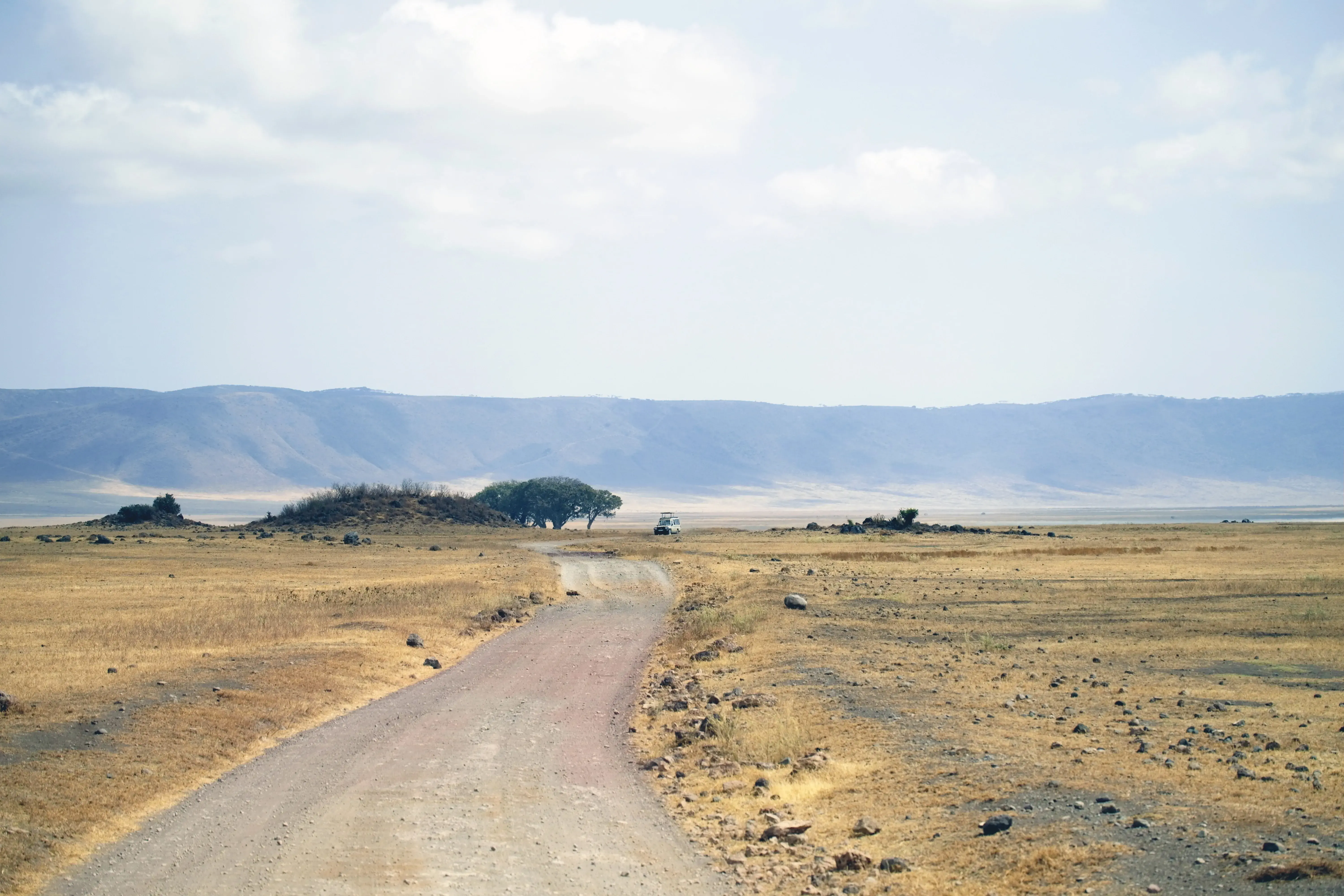 Safari across northern Tanzania