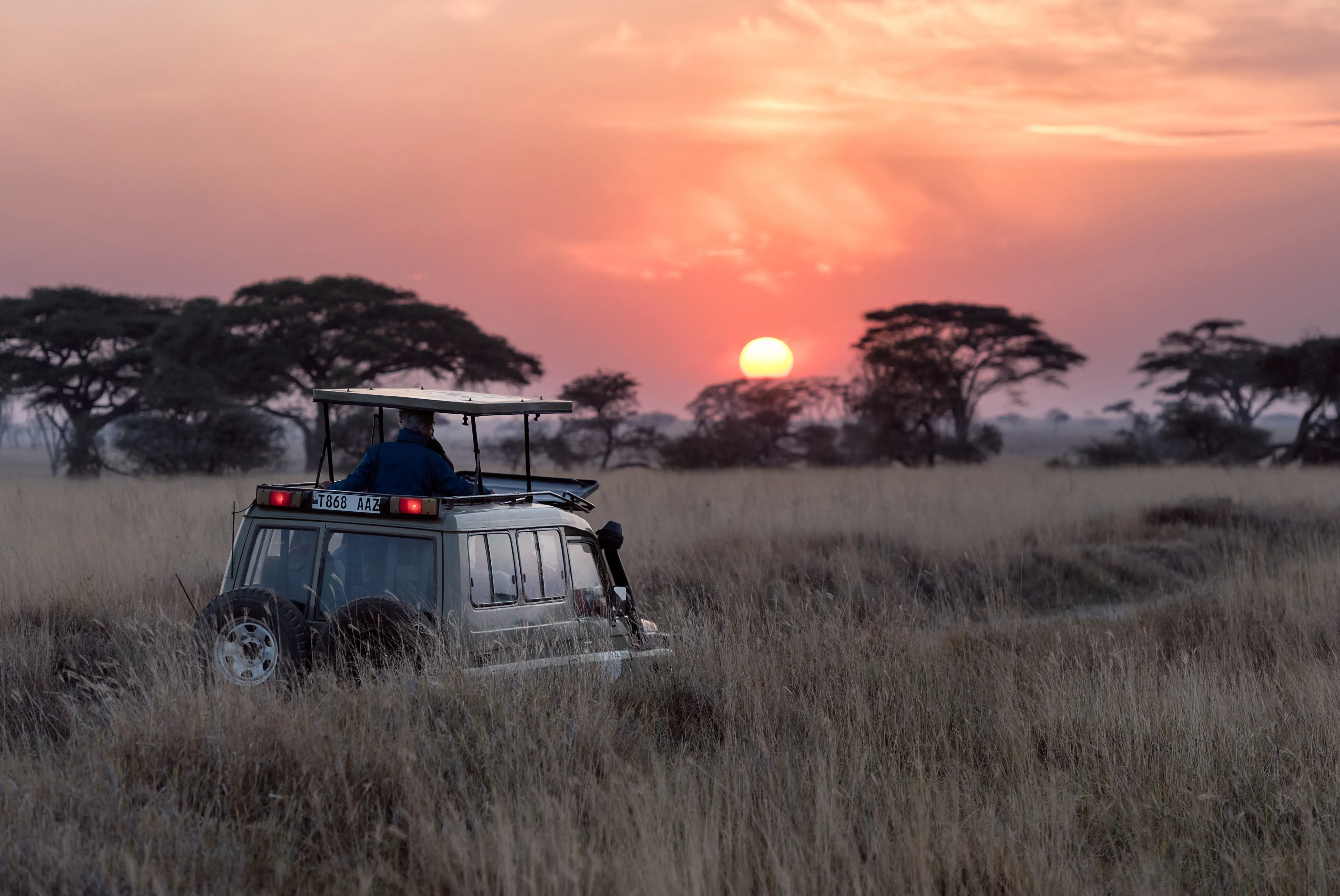 Honeymoon safari in the Serengeti