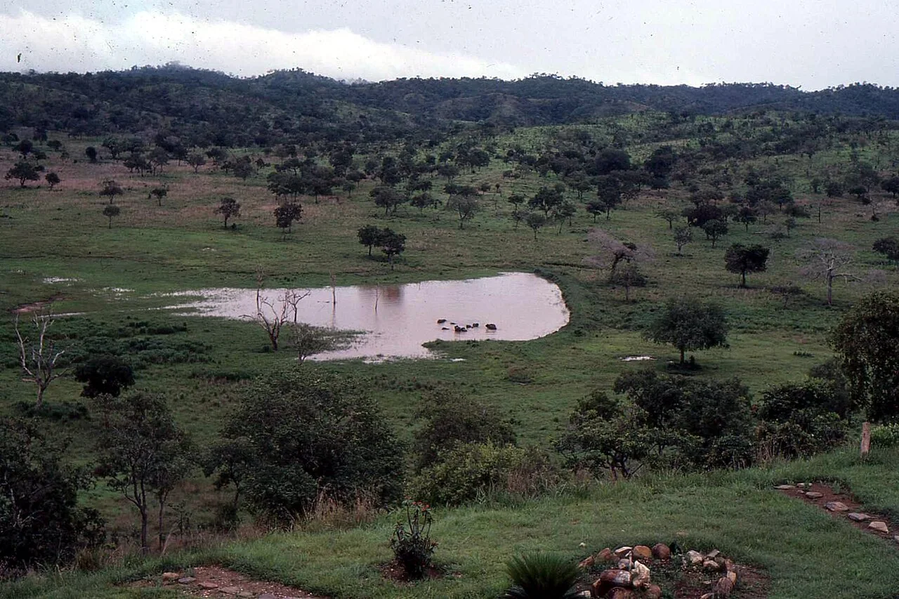 7-Day Wildlife Safari to Mikumi, Udzungwa & Nyerere