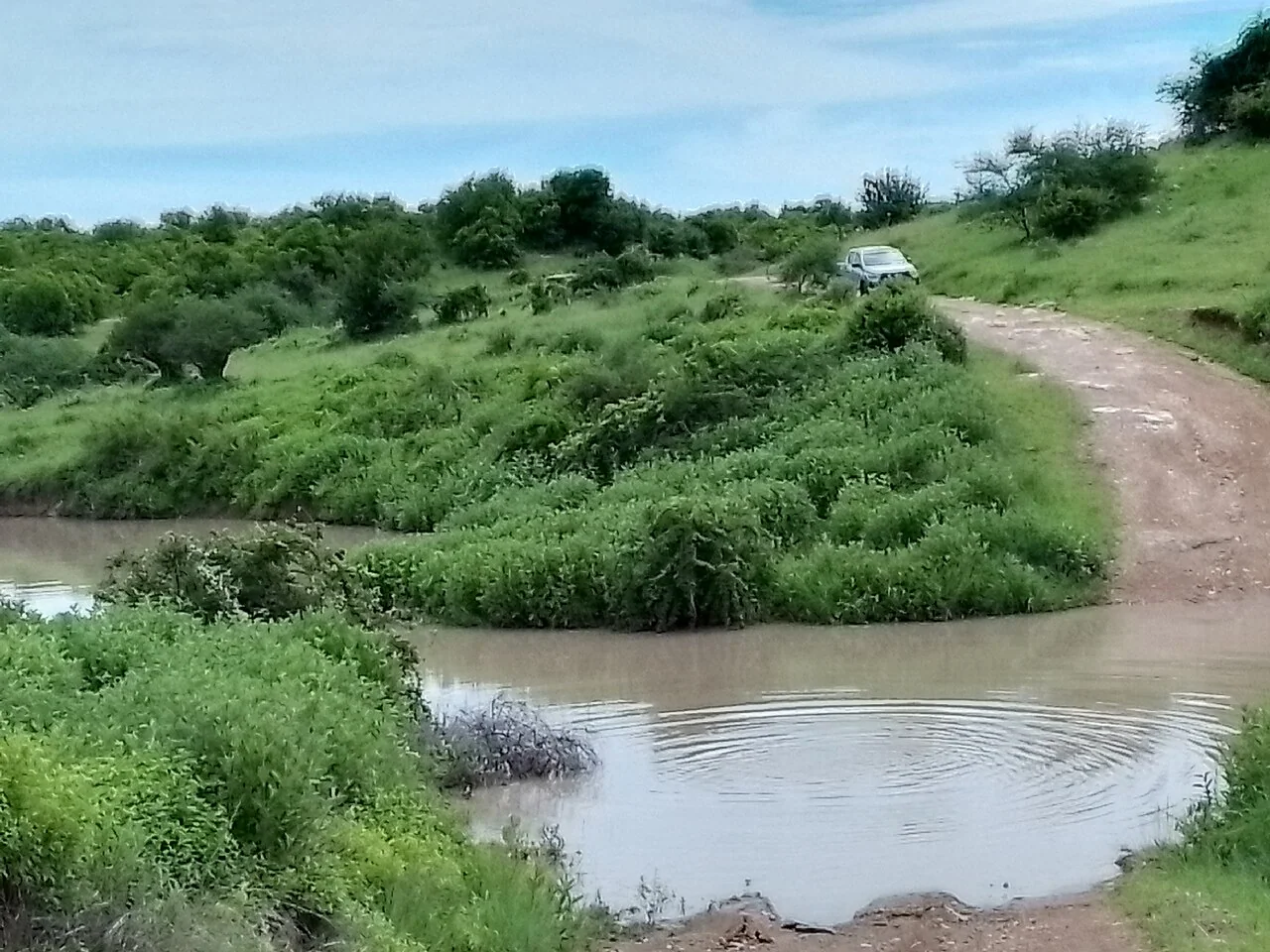 7-Day Ruaha Fly-In Safari Wildlife & Culture from Dar es Salaam