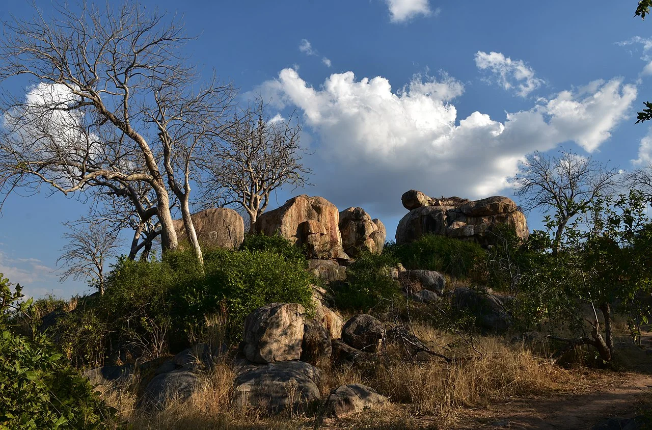 14-Day Super Luxury Fly-In Southern Tanzania Safari