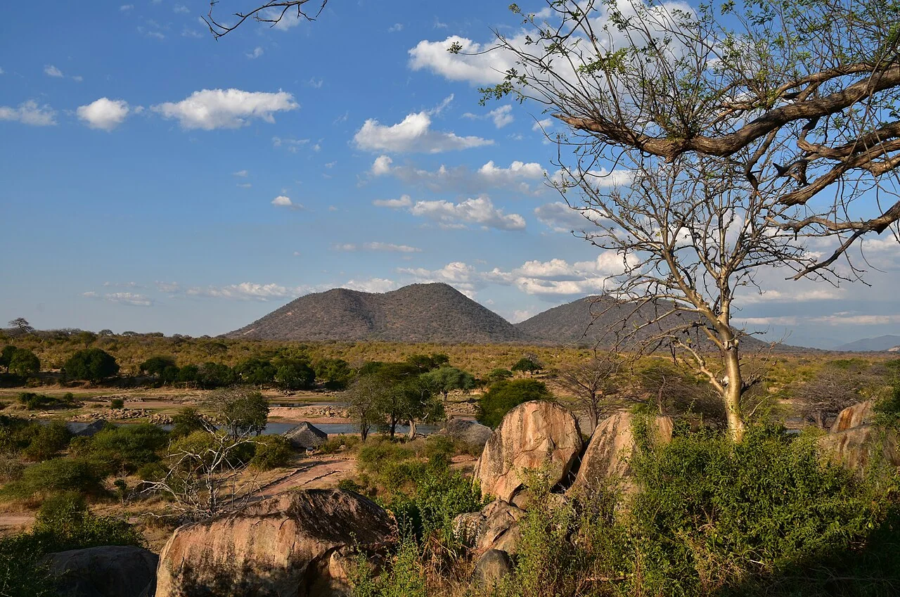 7 Day Photographic Safari to Nyerere & Ruaha Fly-In Experience