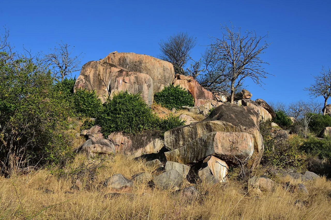 10-Day Luxury Fly-In Safari in Southern Circuit
