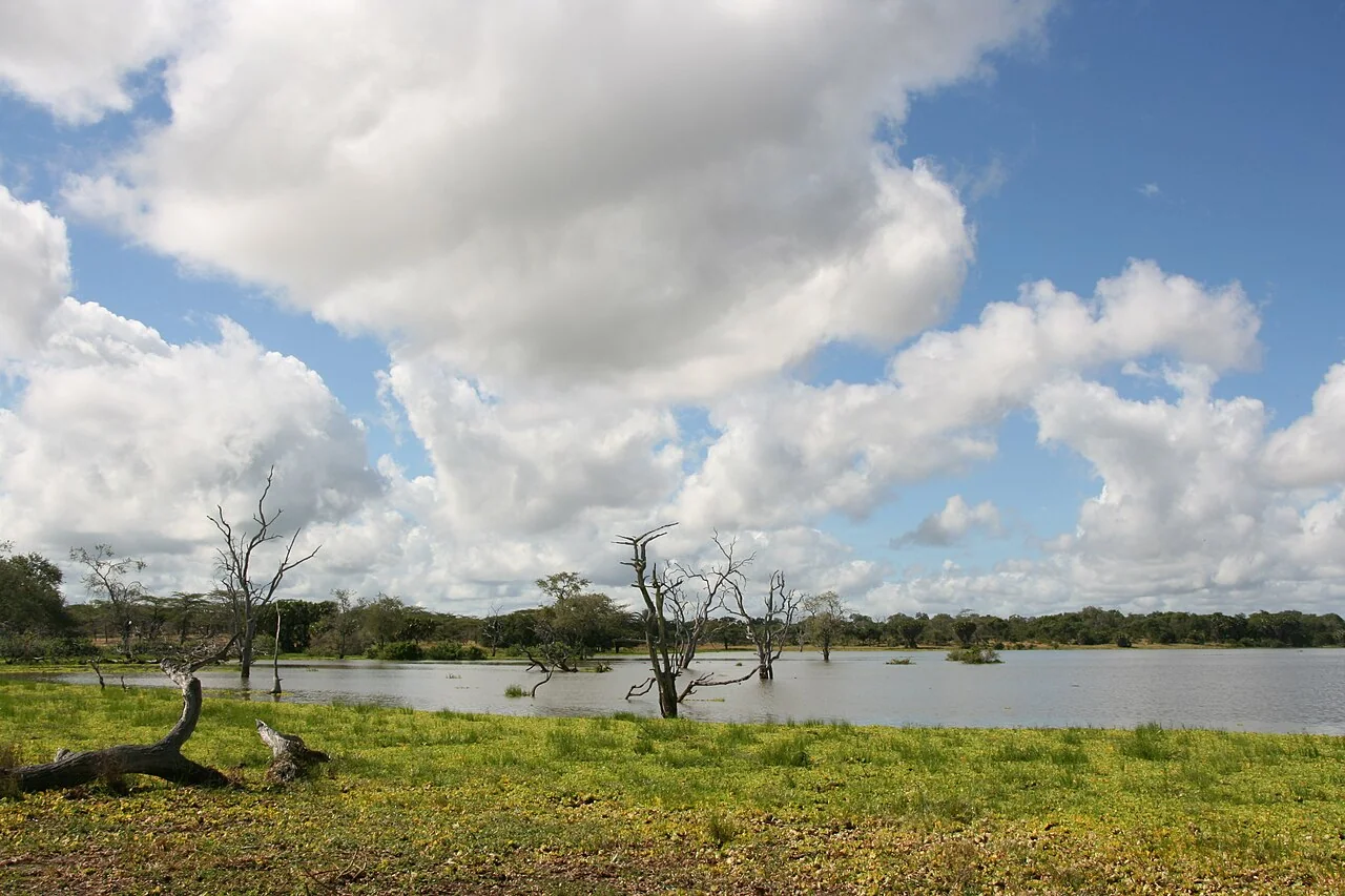 10-Day Southern Tanzania Safari Adventure