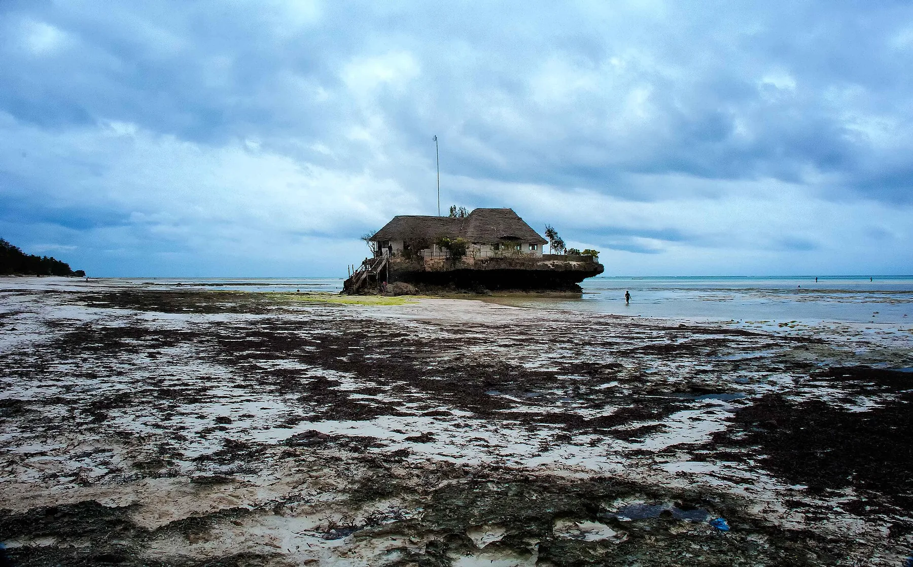 Zanzibar After Safari