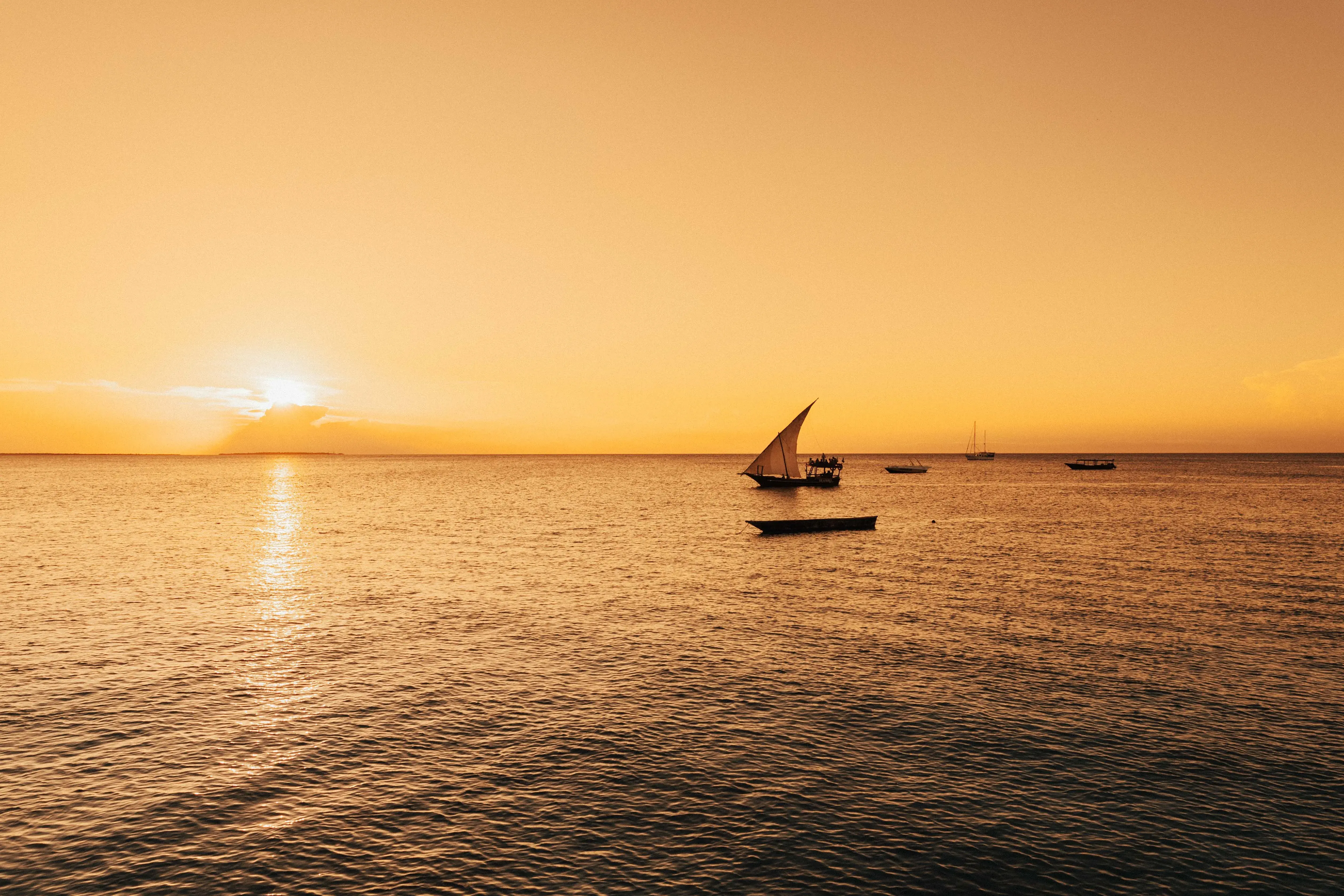 7-Day Classic Safari & Zanzibar Beach Experience