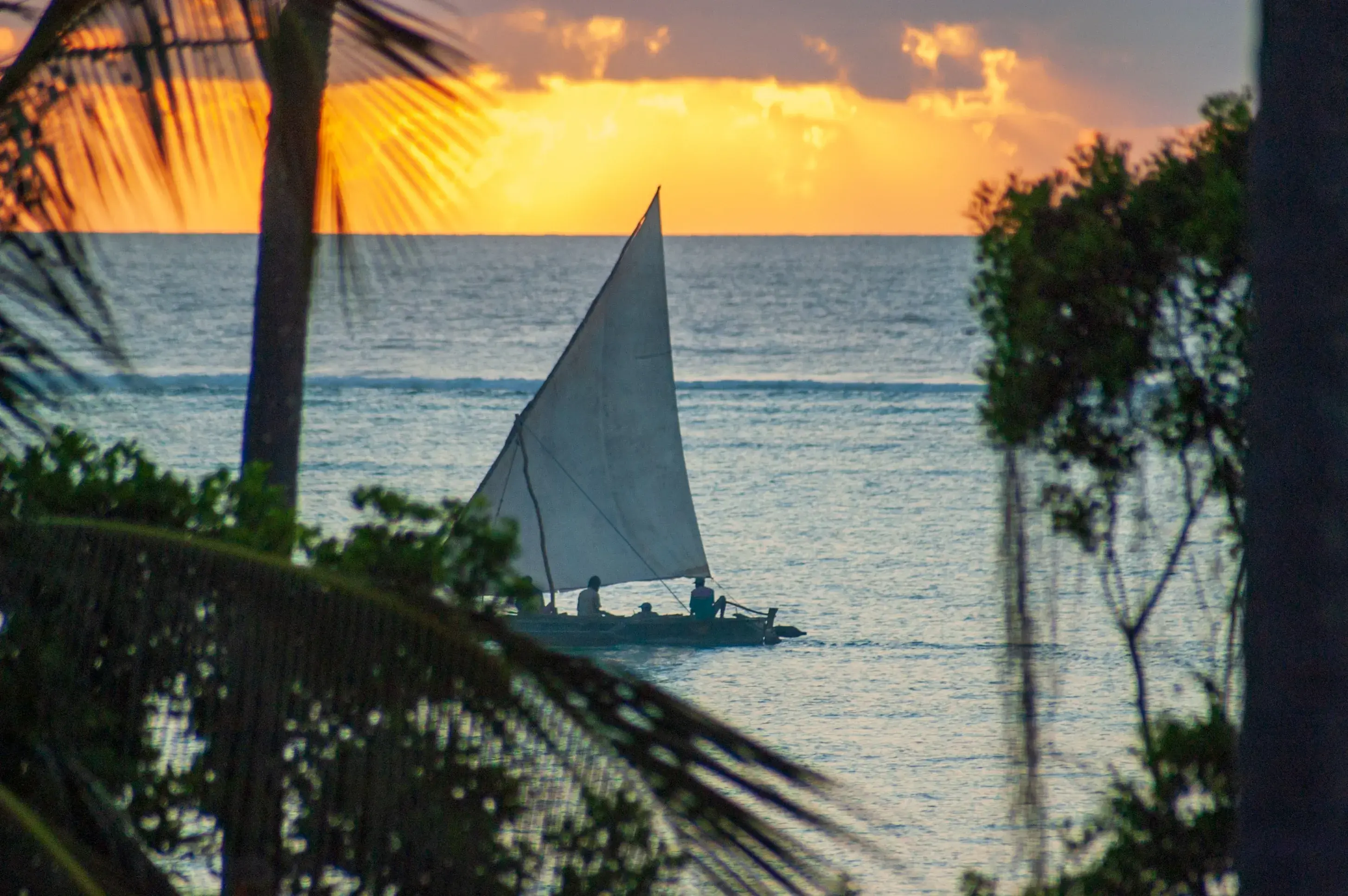 Traditional dhow on the Zanzibar coast