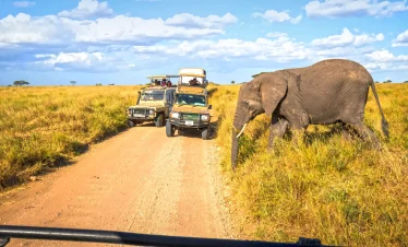 14-Day Northern Tanzania Safari: Big Five, Serengeti Plains & Cultural Encounters