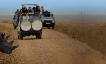 6-Day of Classic Family Safari In Tanzania