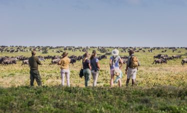 5-Day Great Migration Safari Fly-in & Out From Arusha