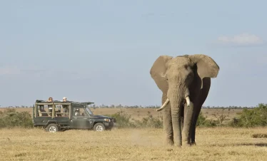 7-Day Best Tanzania Mid-range Adventure All-Inclusive