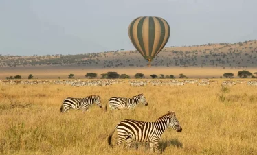 7-Day Tanzania Mid-range Family Safari & Balloon Experience