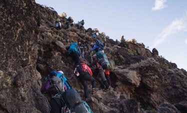 8 Days Kilimanjaro Lemosho Route