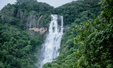 6 Days Mikumi and Udzungwa Safari Experience from Dar es Salaam