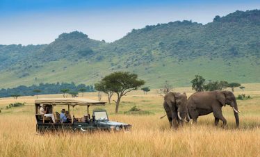 12-Day Kenya and Tanzania Classic Safari Combined