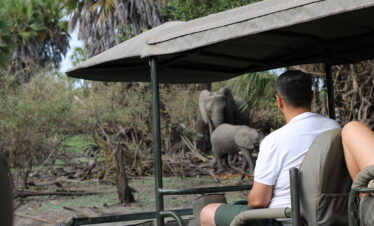 3-Day Nyerere National Park Safari from Dar es Salaam (Game Drive & Boat Safari)