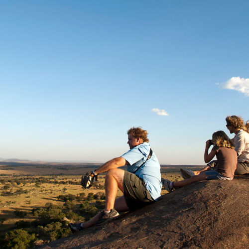 5-Day Nyerere National Park Family Safari & Night Game Drive