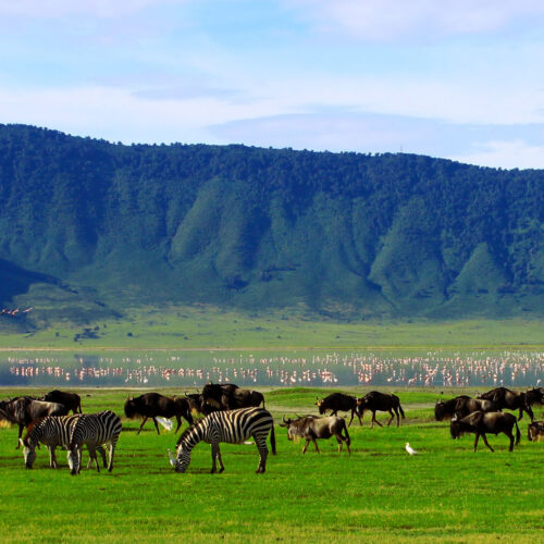 2-Day Tanzania Safari from Zanzibar Tarangire & Ngorongoro